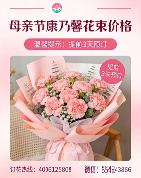 抚州广昌县花店母亲节康乃馨花束