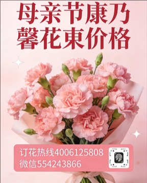 抚州广昌县花店母亲节康乃馨花束